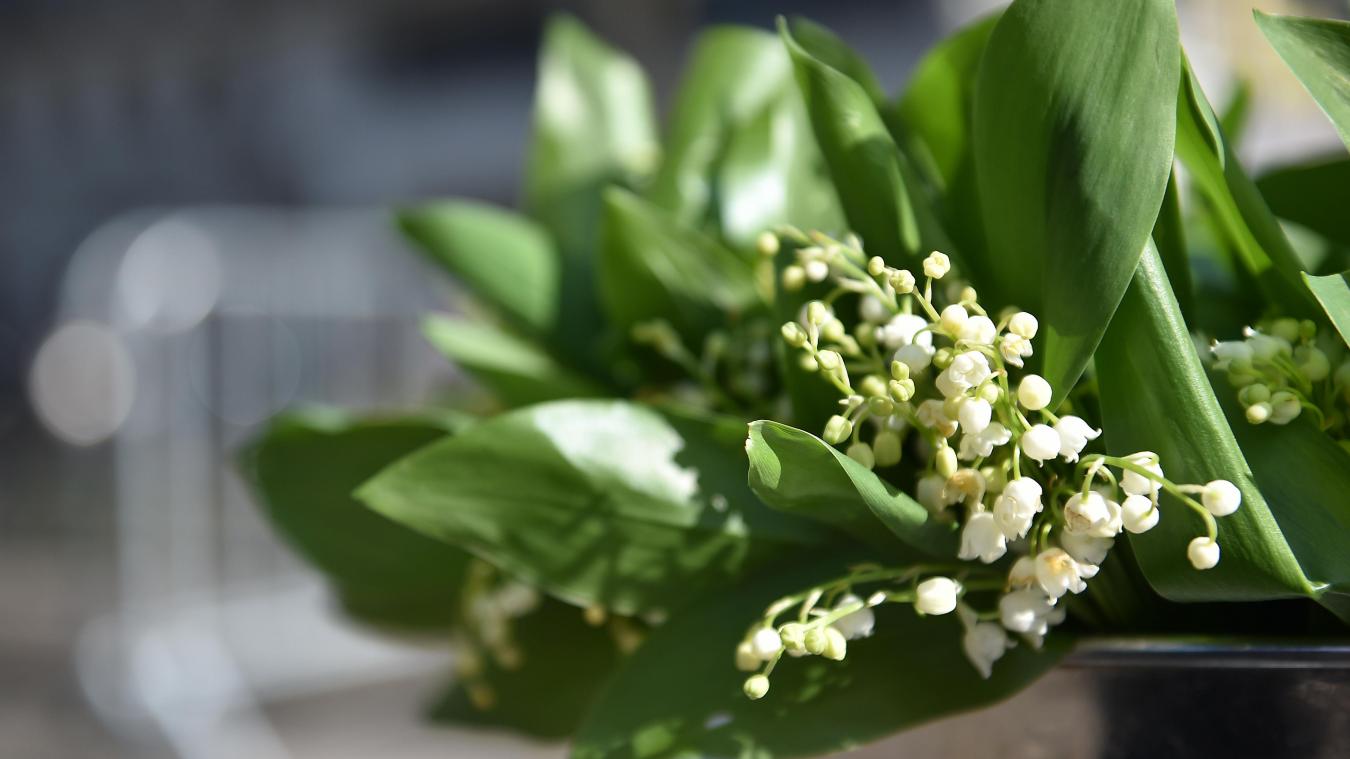 1er mai Muguet