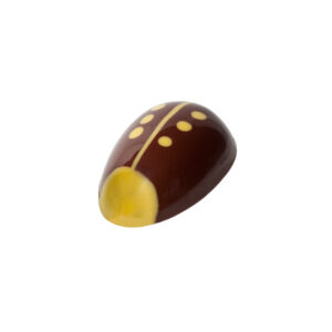 Coccinelle Jaune Caramel