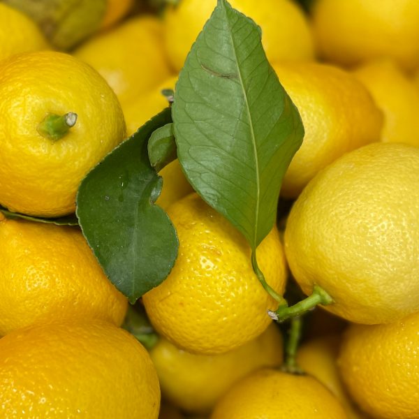 Pâtes de fruit Citron