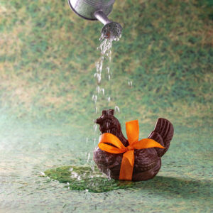 Poule mouillée en chocolat