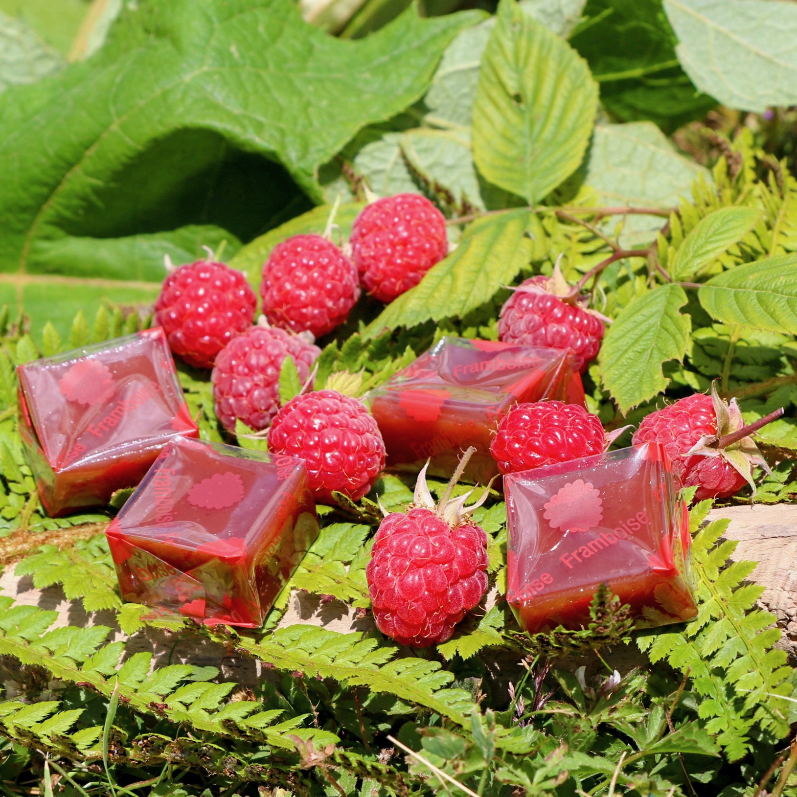 Caramel Framboise