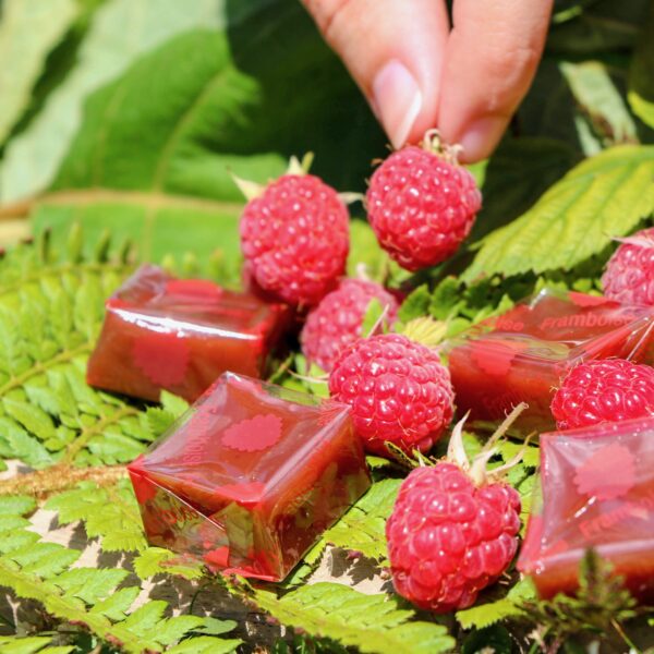 Caramel Framboise