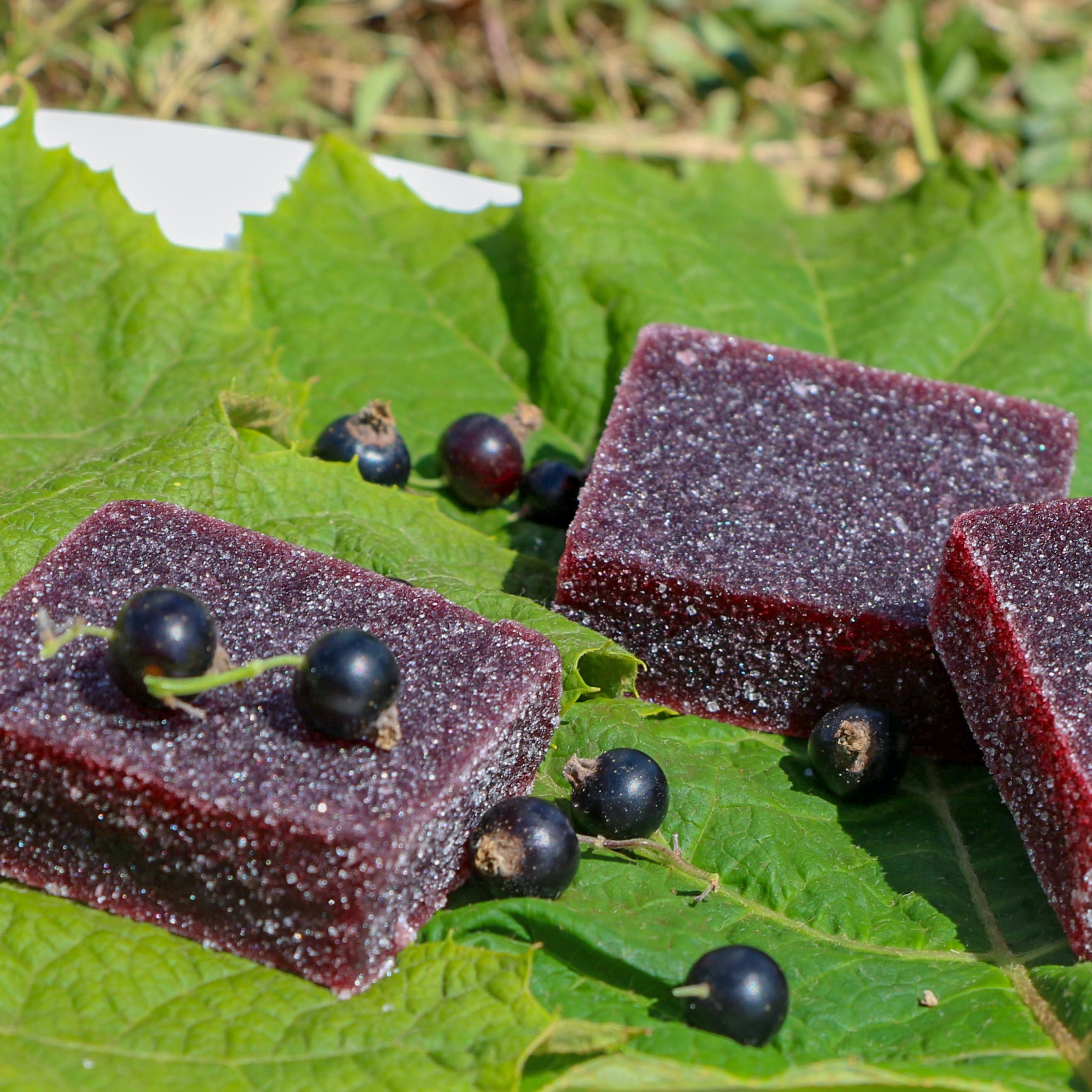 Pâte de fruit Cassis