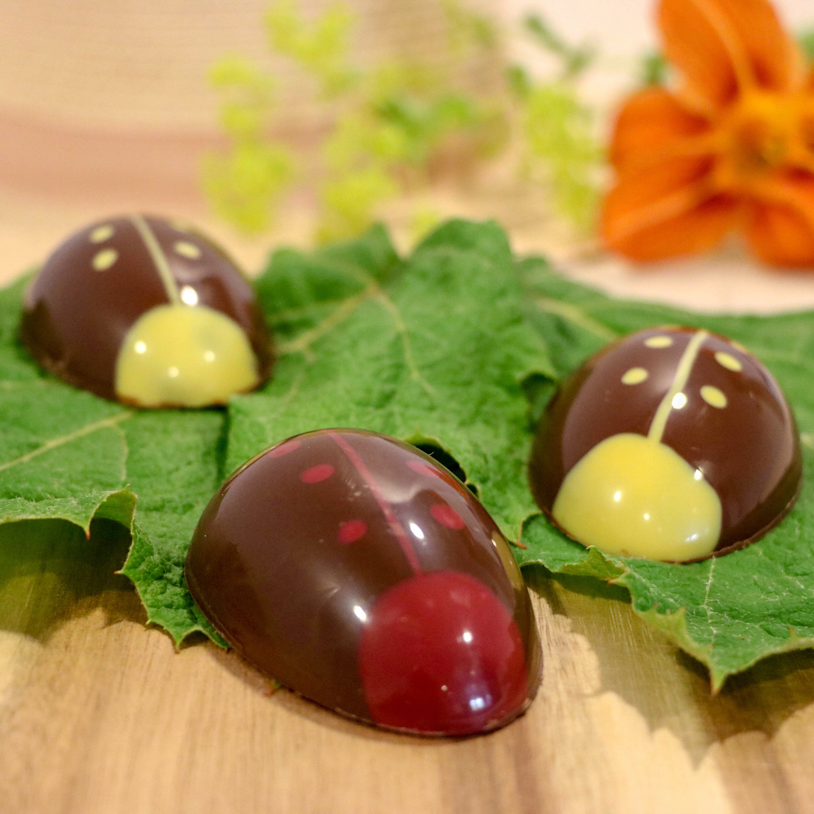 Bouchée de chocolat Coccinelle