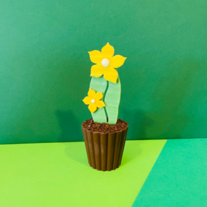 bouchée pot fleur